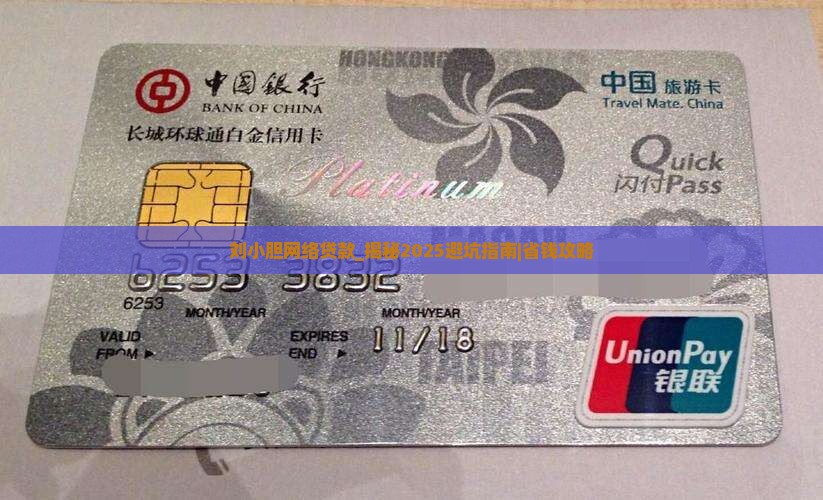 刘小胆网络贷款