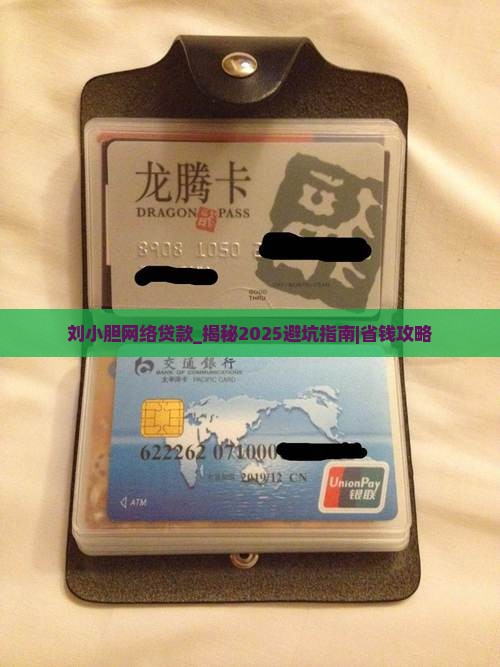 刘小胆网络贷款