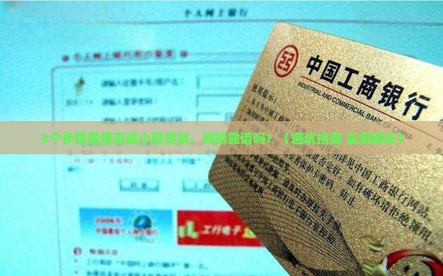 志诚小额贷款 志诚小额贷款