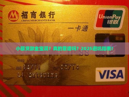 小额贷款金宝润