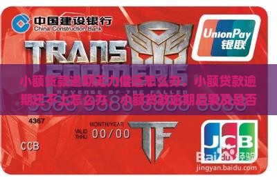 小额贷款逾期无力偿还怎么办