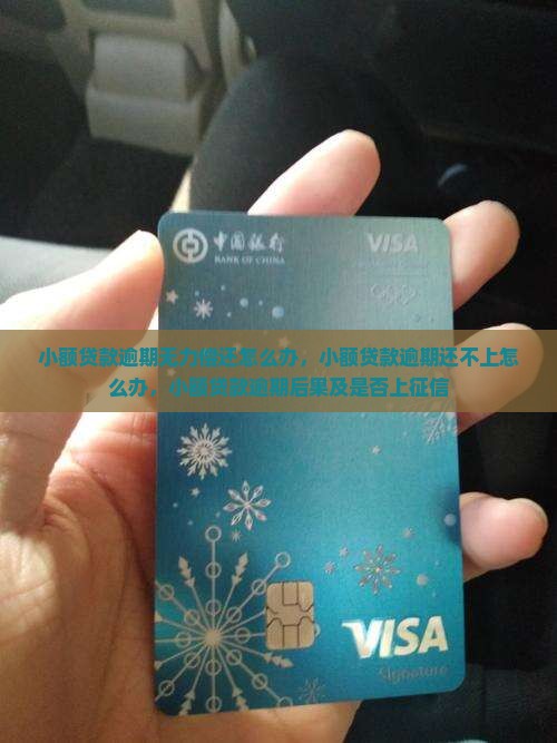 小额贷款逾期无力偿还怎么办