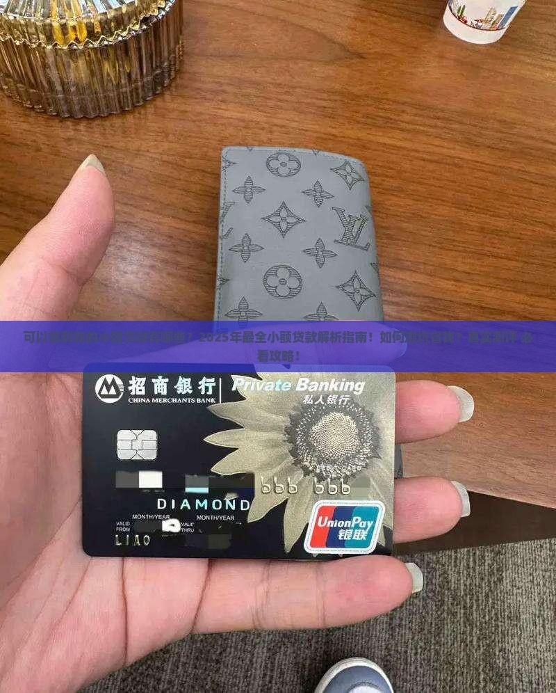 可以借到钱的小额贷款