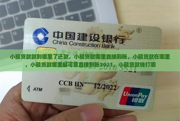 小额贷款款到哪里了