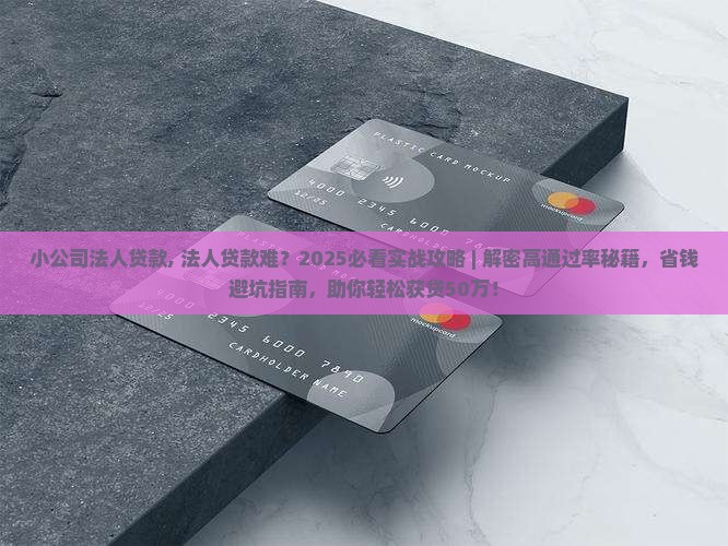小公司法人贷款