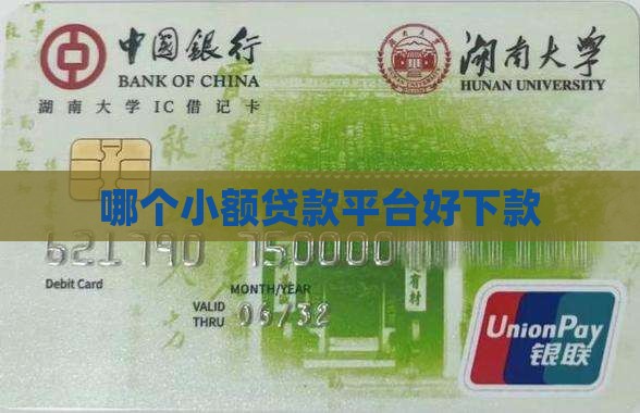 哪个小额贷款平台好下款 哪个小额贷款平台好下款