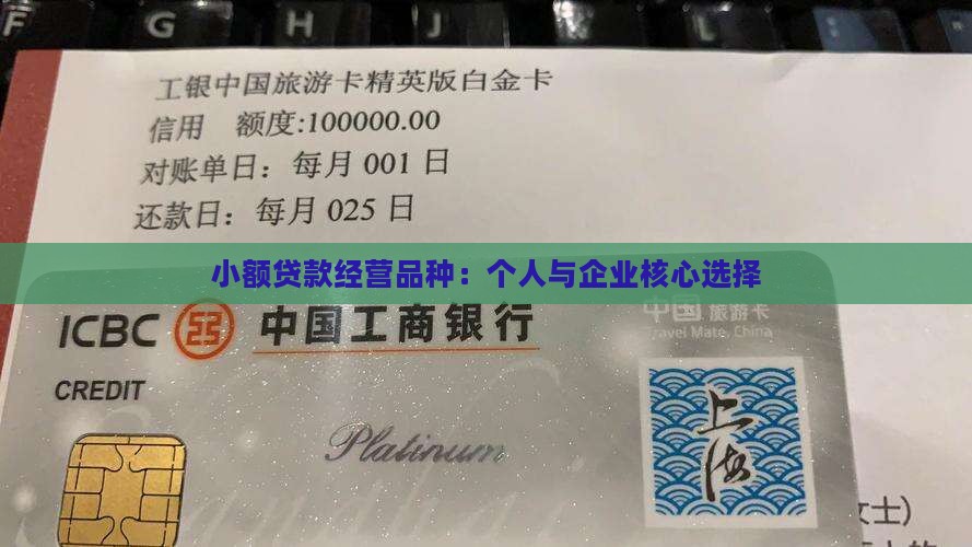 小额贷款经营品种