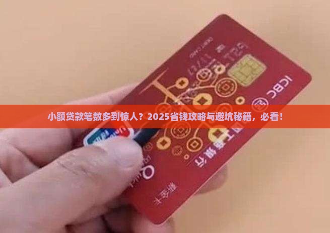 小额贷款笔数超级多