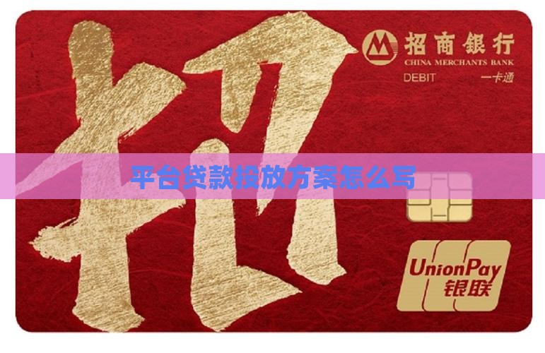 平台贷款投放方案怎么写
