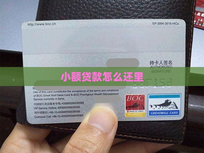 小额贷款怎么还里