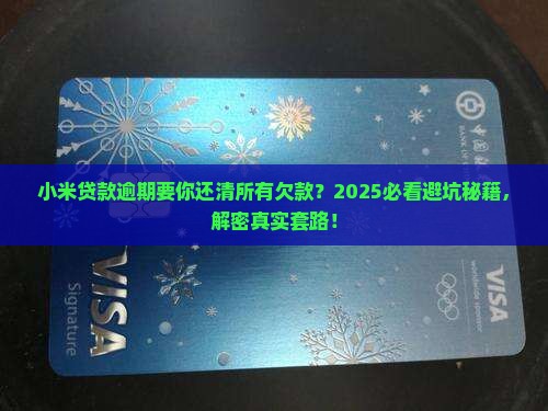 小米贷款逾期征收全部欠