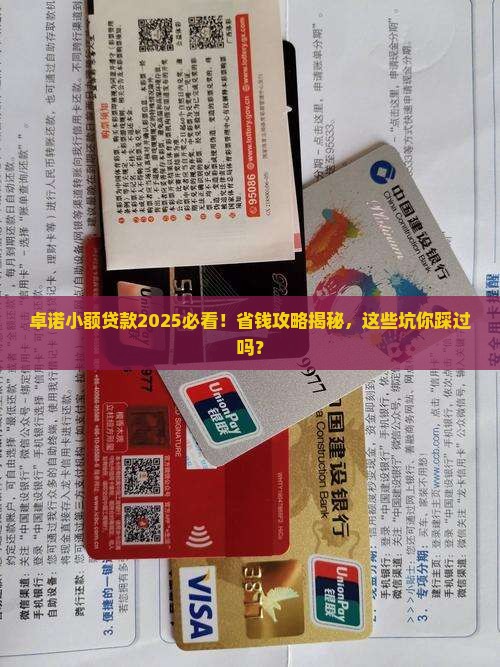 卓诺小额贷款