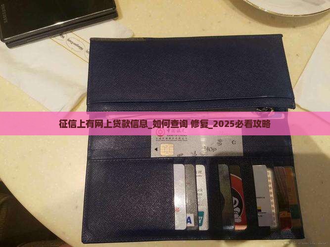 征信上有网上贷款信息