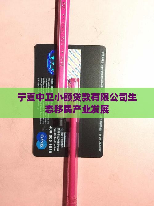 宁夏中卫小额贷款