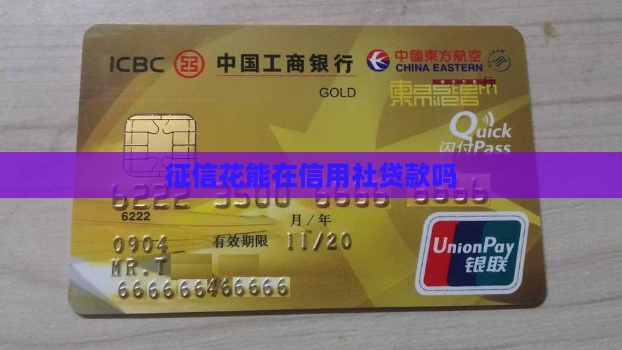 征信花能在信用社贷款吗