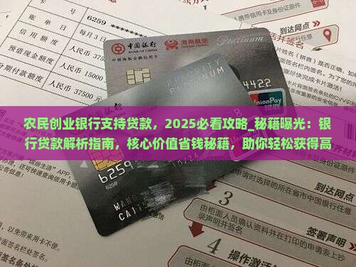 农民创业银行支持贷款