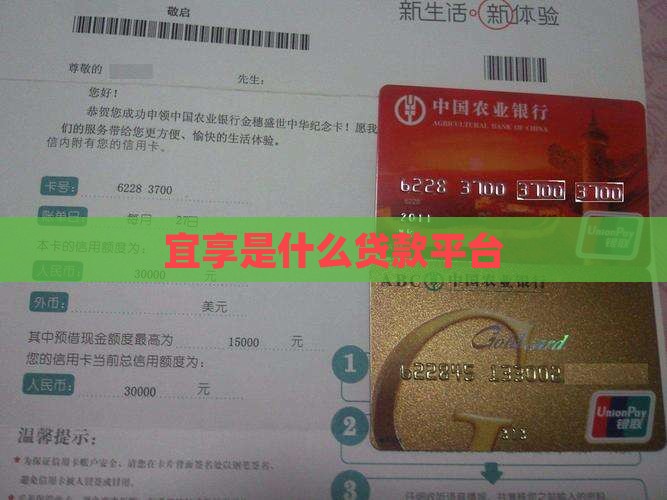 宜享是什么贷款平台