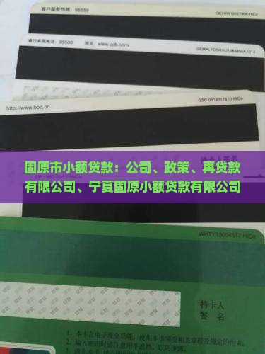 固原市小额贷款