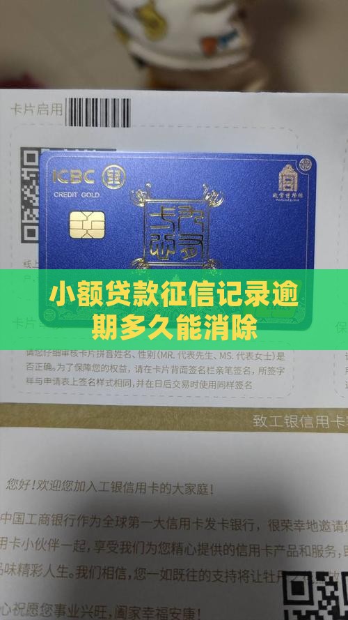 小额贷款纪录两年