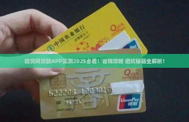 微贷网贷款APP