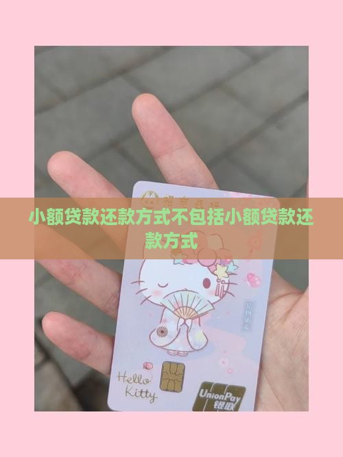 小额贷款还款方式不包括