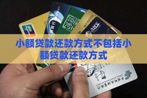 小额贷款还款方式不包括