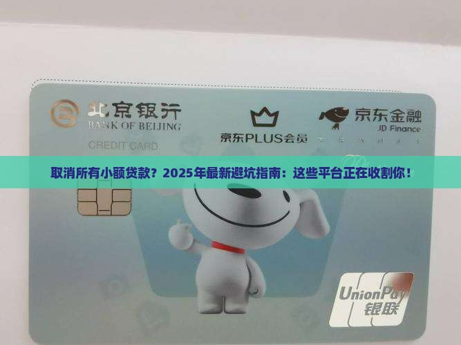 取消所有小额贷款