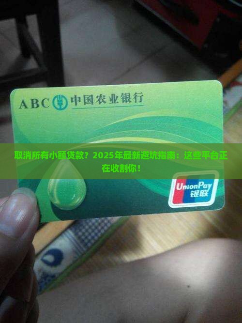取消所有小额贷款