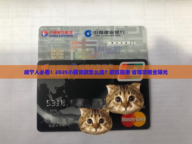 咸宁哪里可以办小额贷款 咸宁哪里可以办小额贷款