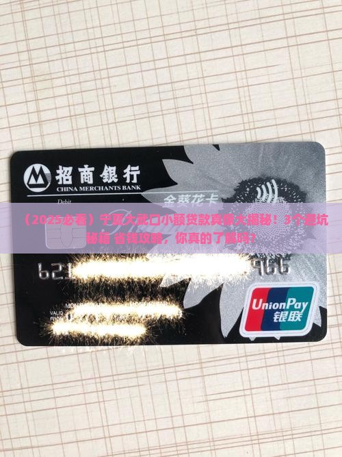 宁夏大武口小额贷款