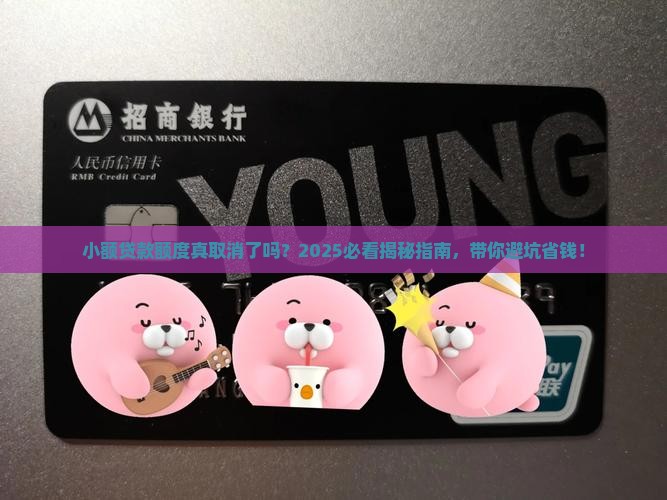 小额贷款额度取消了吗