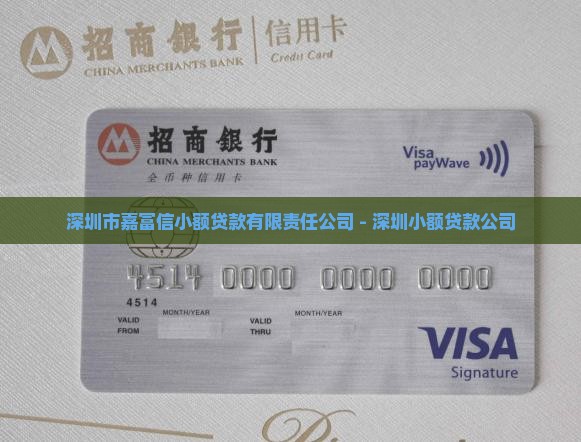 嘉富信小额贷款