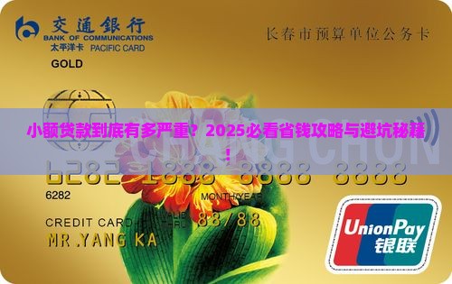 小额贷款严不严重