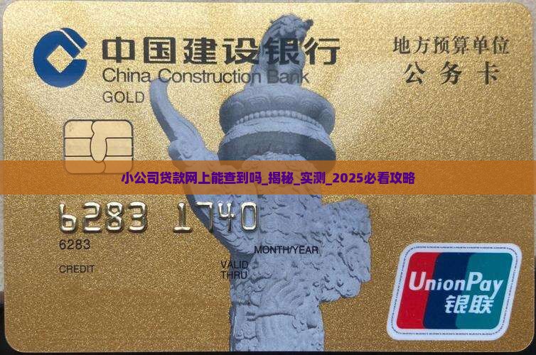 小公司贷款网上能查到吗