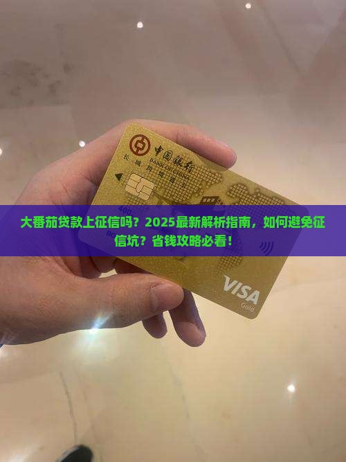 大番茄贷款上征信吗