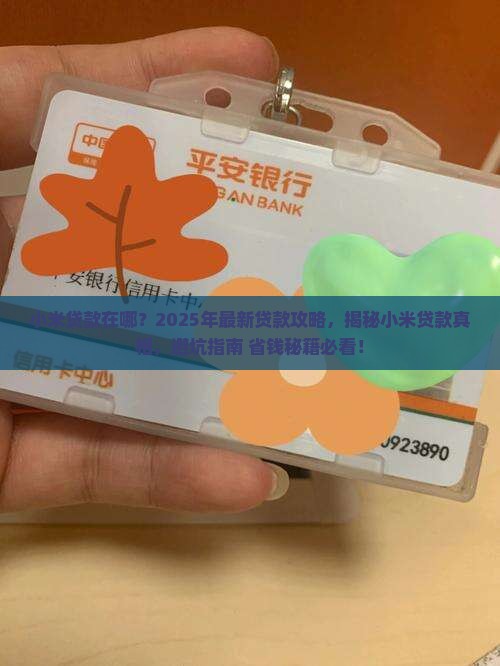 小米贷款在哪