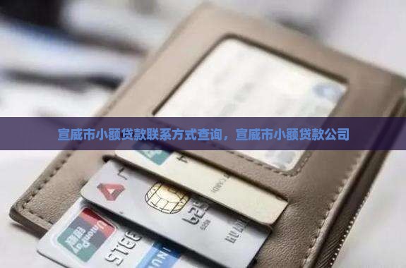 宣威市小额贷款联系方式