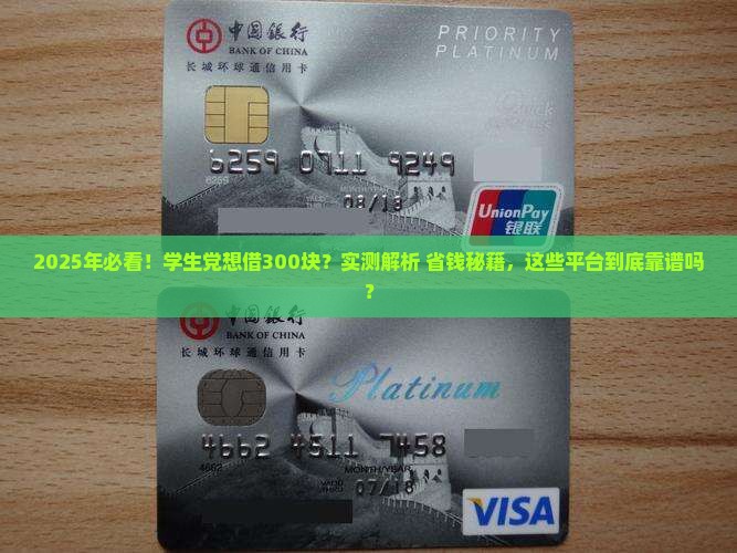 可以借三百的平台贷款吗