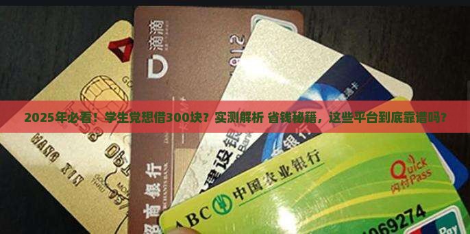 可以借三百的平台贷款吗