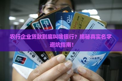 农行企业贷款叫什么银行