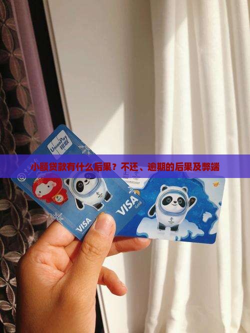 小额贷款有什么后果