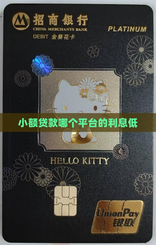 小额贷款那个利息低