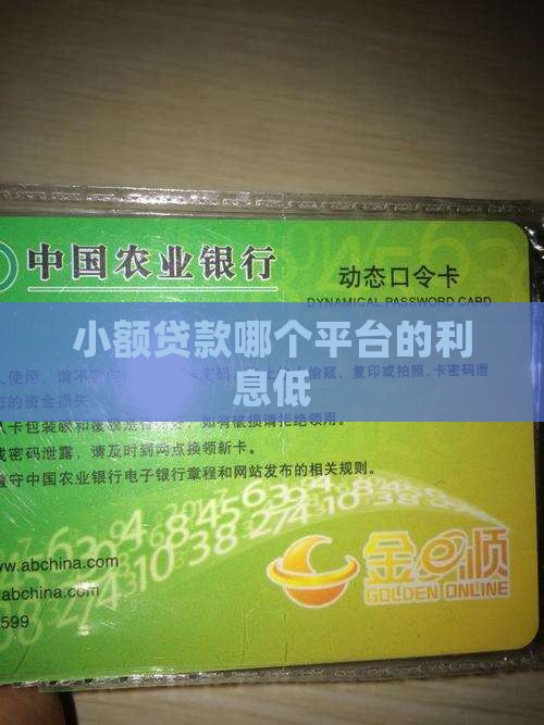 小额贷款那个利息低