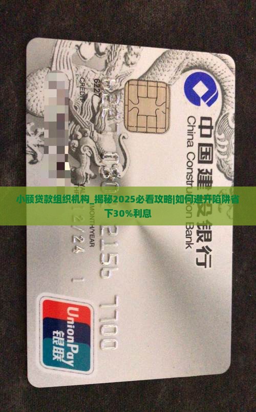 小额贷款组织机构