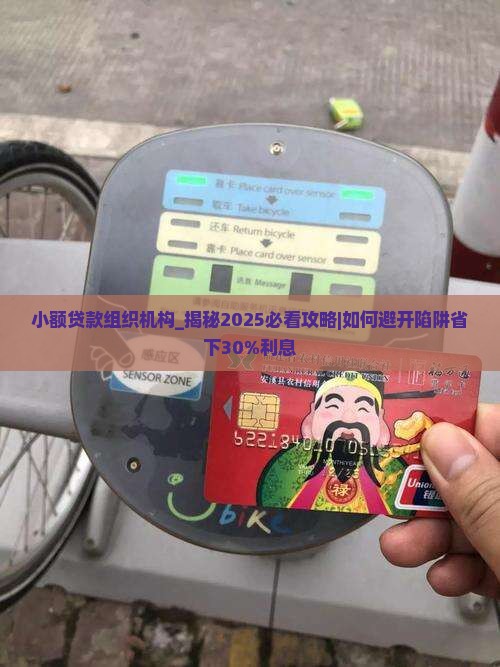 小额贷款组织机构