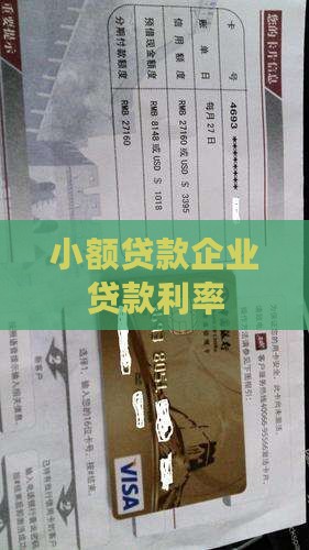 小额贷款企业贷款利率