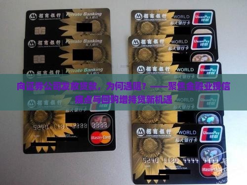 向证券公司发放贷款