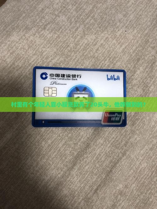 因小额贷款发展养牛业