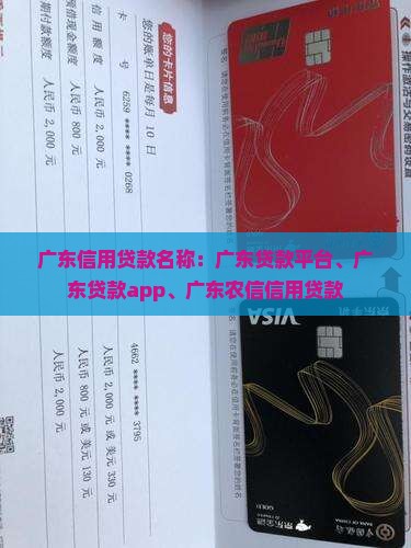 广东信用贷款名称