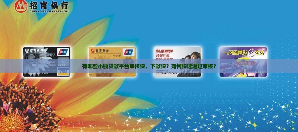 审核快下款快的小额贷款 审核快下款快的小额贷款